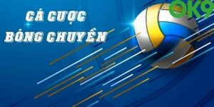 Cá cược bóng chuyền OK9