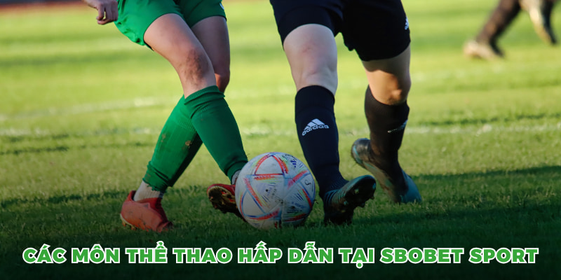 Sbobet Sport - Cá Cược Thể Thao Hấp Dẫn Ngay Tại OK9 5 Các môn thể thao hấp dẫn tại Sbobet Sport