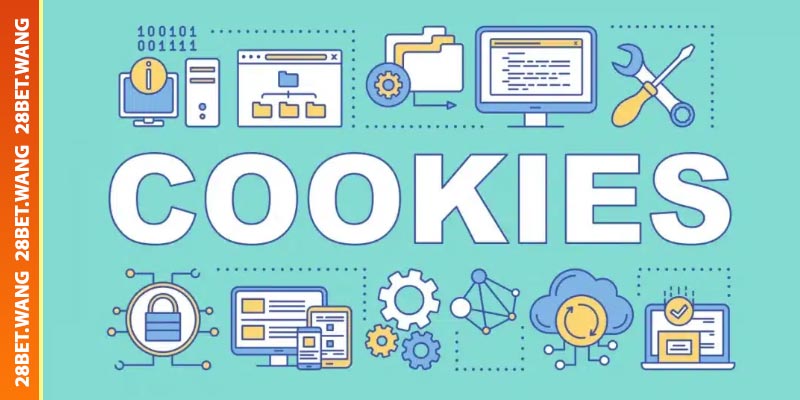 Chính sách sử dụng và quản lí Cookie